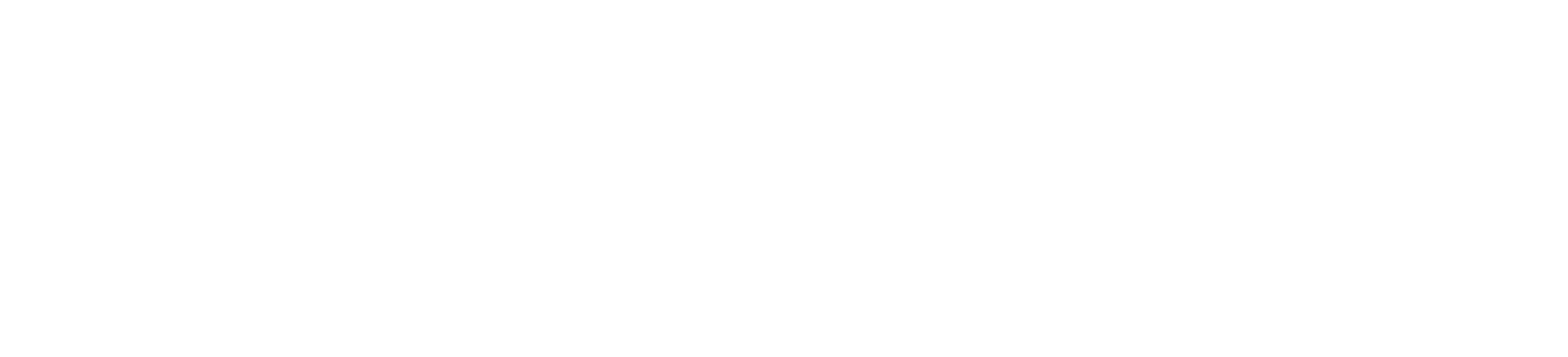 Logo LS Vloerpojecten